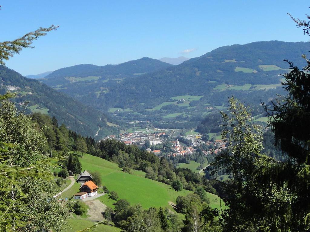 Die Petzl Huette - Kreischbergblick Kaindorf  Dış mekan fotoğraf